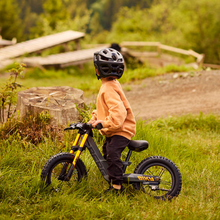 Cargar imagen en el visor de la galería, BERG Biky Cross Grey Handbrake